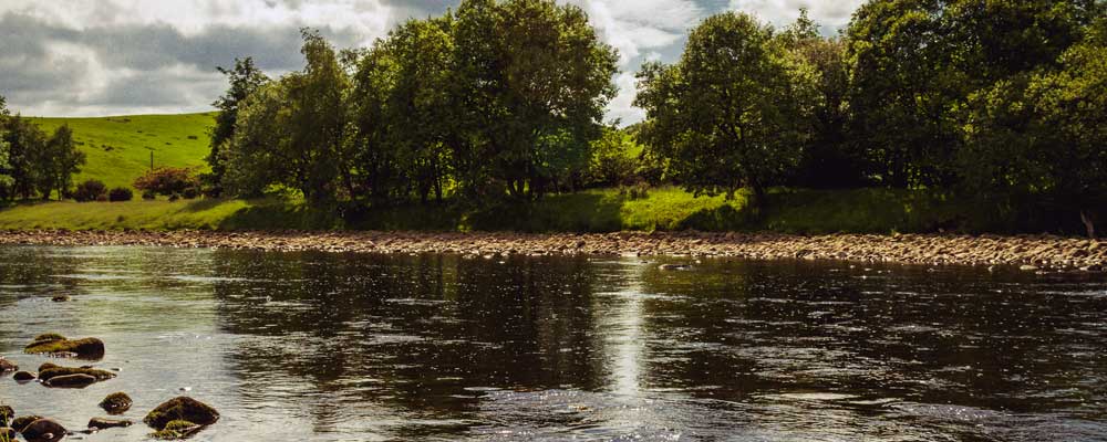 Enjoy fishing on the South Tyne River