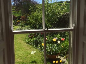 Window view of garden