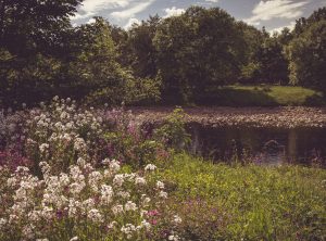 South Tyne River near Wydon Farm