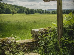 Walk the South Tyne Valley